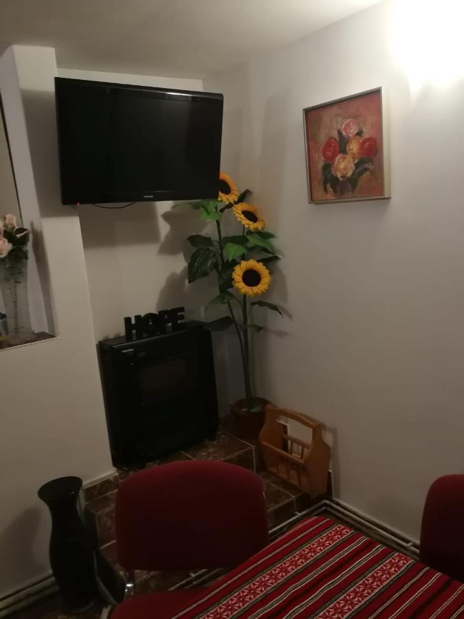 Pensiunea Mir Bran  Dış mekan fotoğraf
